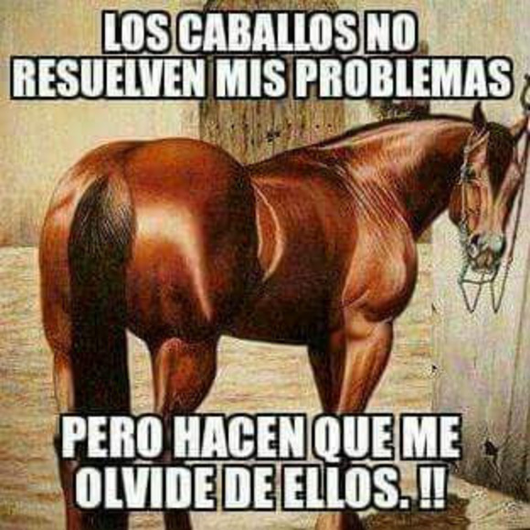 wildhorse8285